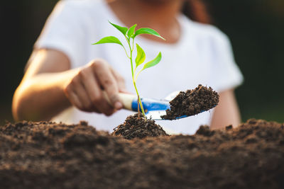 Close-up of hand holding plant