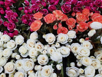 Close-up of rose bouquet