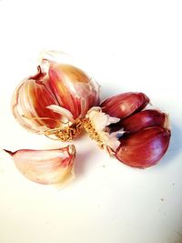 Close-up of garlic on white background