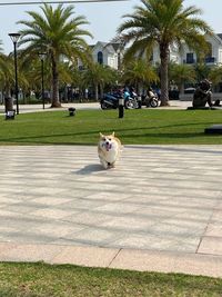 View of park on sunny day