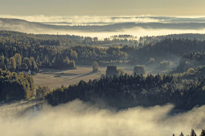 Panoramic view of forest against sky