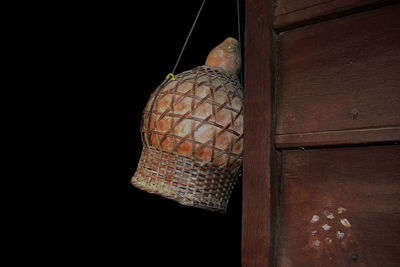 Close-up of lizard on wood against black background