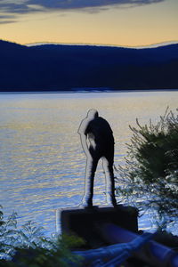 Rear view of woman standing at sea shore against sky