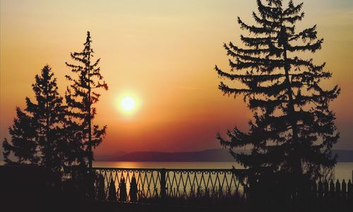 Silhouette tree by sea against sky during sunset