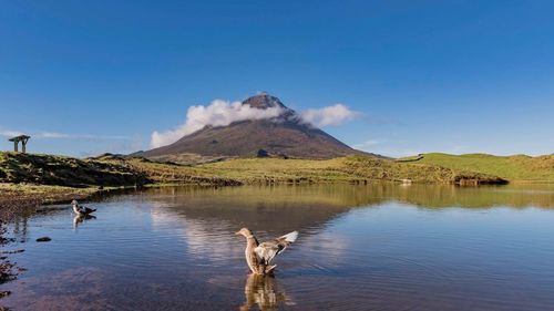 Scenic view of volcanic mountain against sky