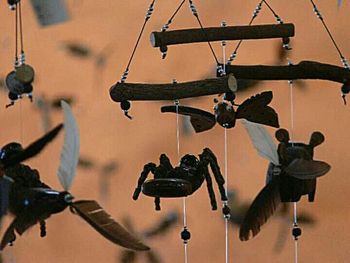 Close up of plant against blurred background