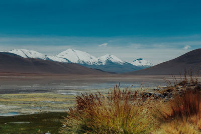 Scenic view of landscape against sky during winter