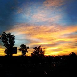 Silhouette of trees at sunset