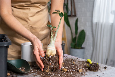 Midsection of woman gardening at table