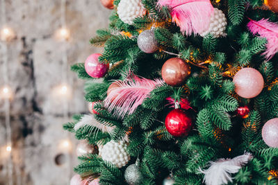 Close-up of christmas tree