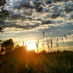 Scenic view of landscape against cloudy sky