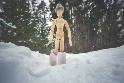 Rear view of woman standing on snow covered landscape