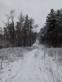 Trees on snow covered field against sky