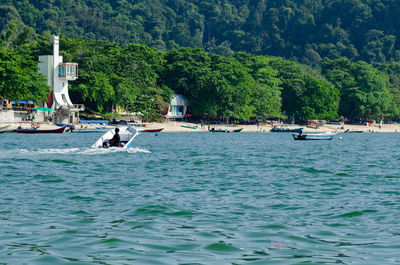 Boats moored in sea against trees in forest