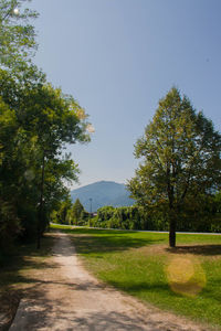 Road amidst trees against clear sky