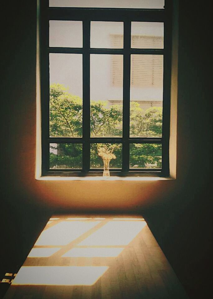 VIEW OF TREES SEEN THROUGH WINDOW