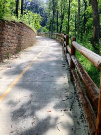 Footpath along trees