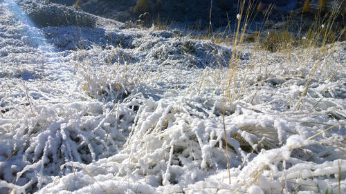 Scenic view of snow covered landscape