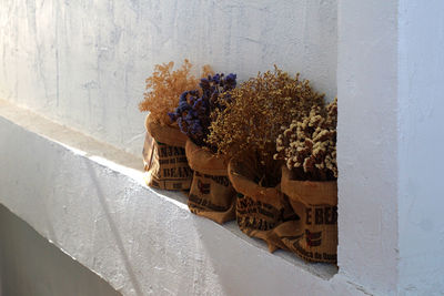 Close-up of potted plant against wall