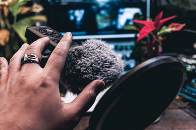 Close-up of hand holding camera