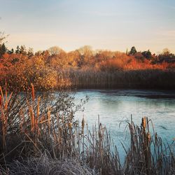 Scenic view of lake against sky during sunset