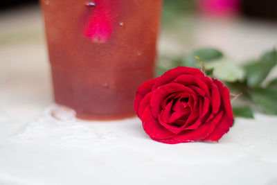 Close-up of red rose
