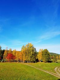 Scenic view of trees on field against blue sky