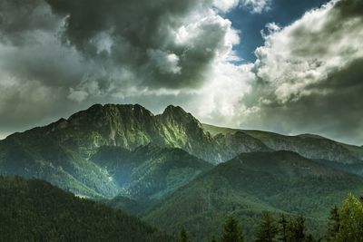 Scenic shot of lush foliage against clouds