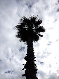 Low angle view of palm tree against sky