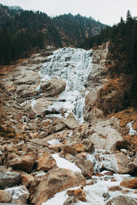 Rock formation on rocks in forest