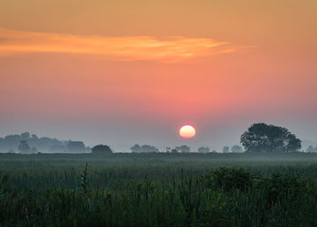 Scenic view of field against sky during sunset