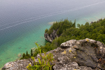 Bruce peninsula  a cliff with trees in the background