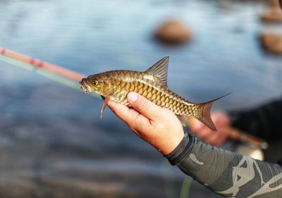 Close-up of person holding fish