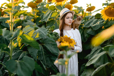 Girl you cat in sunflowers