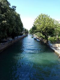 View of canal along trees