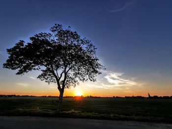 Silhouette tree on field against sky during sunset