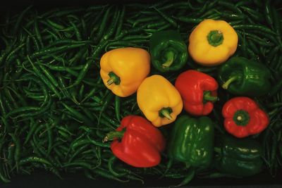 High angle view of multi colored bell peppers