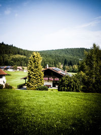 Houses on field against sky