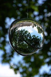 Close-up of crystal ball hanging on tree