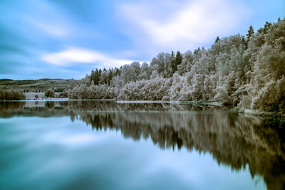 Scenic view of lake by trees against sky