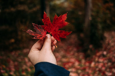 Woman holding a red leaf in front of her