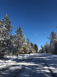 Road amidst trees against clear sky during winter
