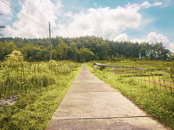 A straight road to the mountains, ootpath amidst field against sky