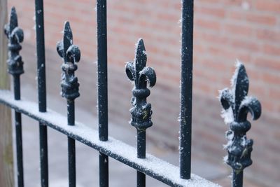 Close-up of frozen metal gate during winter