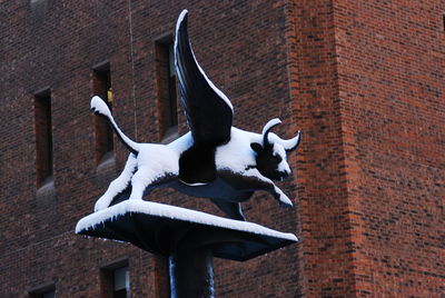 Close-up of horse