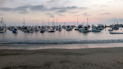 Sailboats moored in sea at sunset