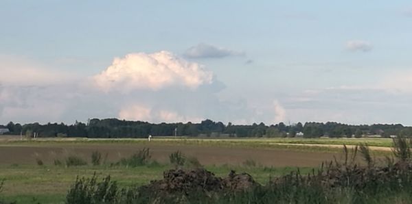 Panoramic view of agricultural field against sky