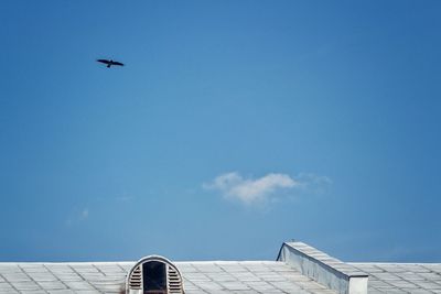 Low angle view of bird flying against blue sky