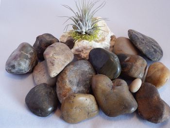 Close-up of stones on table