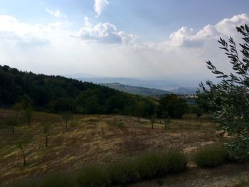 Scenic view of rural landscape